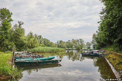 Gemeinde Reichersberg Bezirk Ried Hafenanlage Boote Wasser (Dirschl Johann) Österreich RI